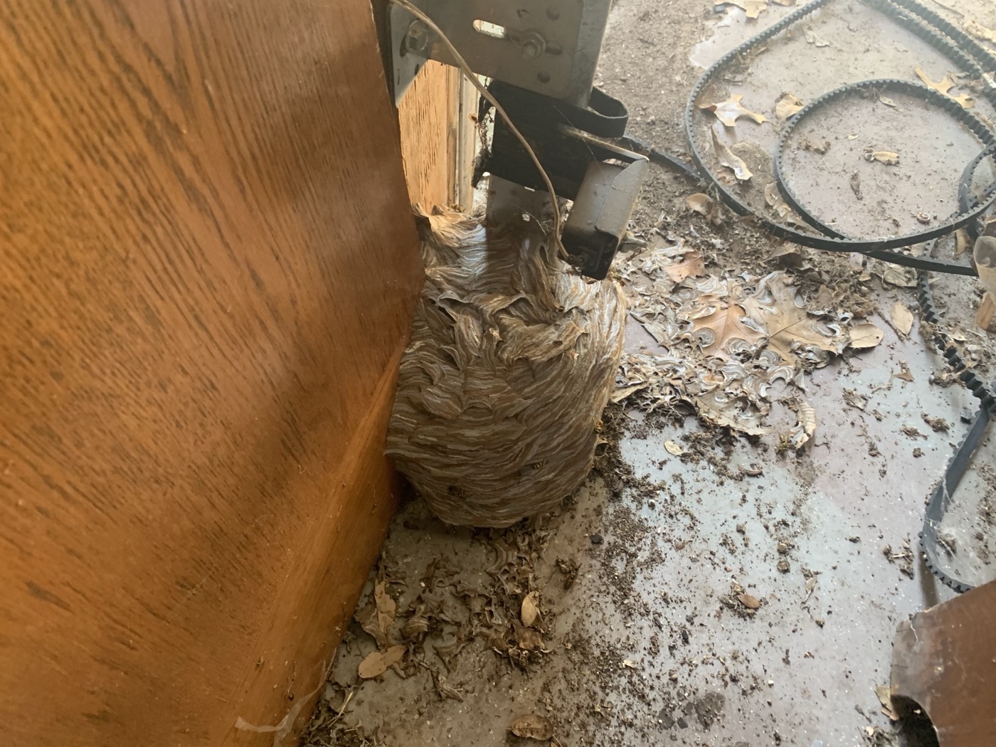 Stinging insect nest found around a structure during pest control work