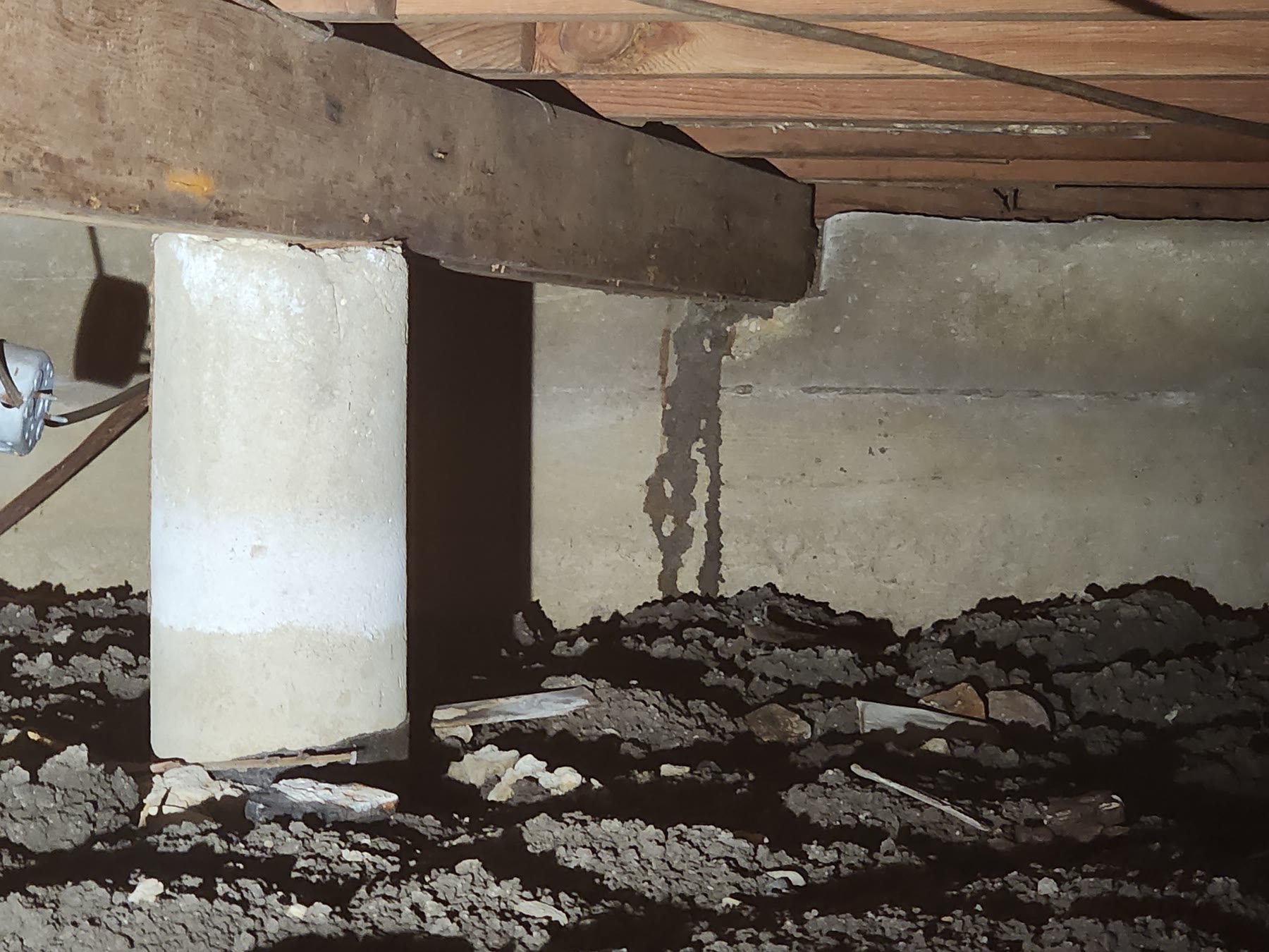 Multiple termite shelter tubes running up a crawl-space foundation wall